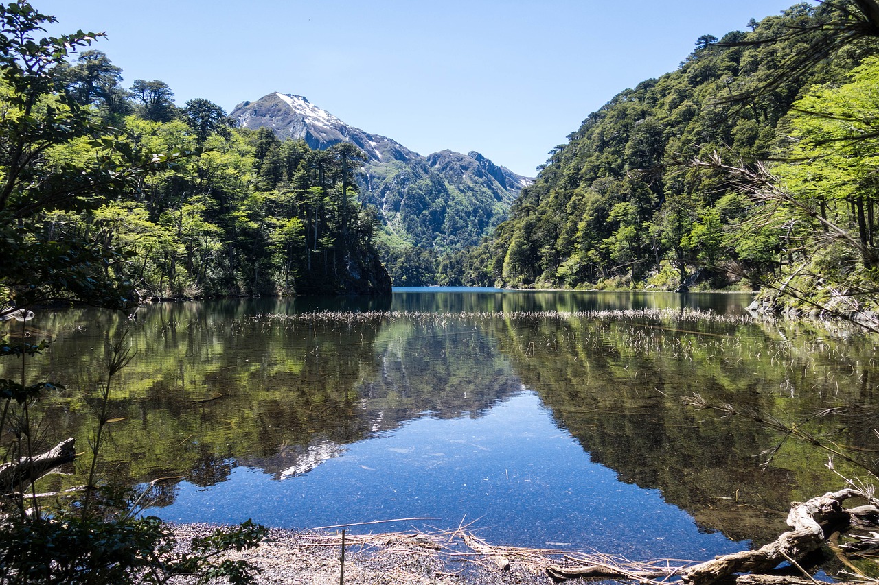 Relevés aériens, atout des forêts chiliennes